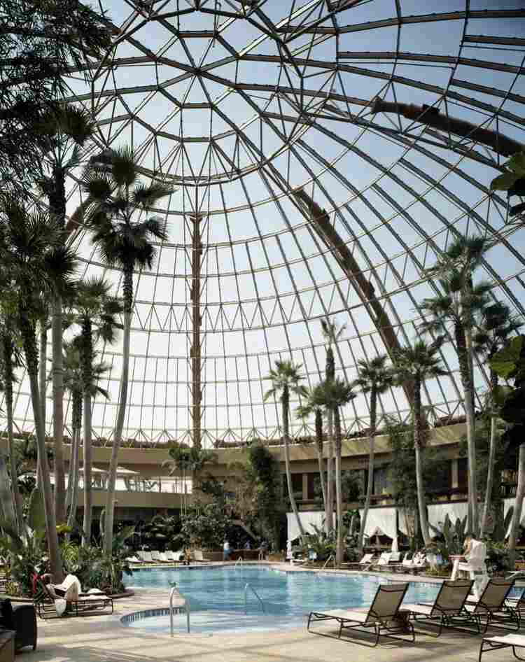 Atriums Single Layer Dome with Lightweight Trussing Structure  | Architecturally Exposed Steel 