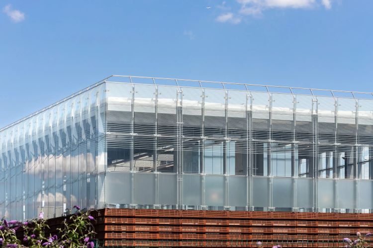Train station Atrium Box Glazed Facade Platform and Canopies  | Architecturally Exposed Steel